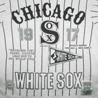 MLB (Long Gone) - Chicago White Sox 1917 World Series T-Shirt 1991 Large Vintage Retro Baseball