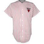 NBA - Chicago Bulls Basketball Pinstripe Jersey 1990s Medium Vintage Retro Baseball