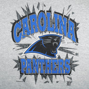 NFL (Tultex) - Carolina Panthers Big Logo Crew Neck Sweatshirt 1993 X-Large Vintage Retro Football