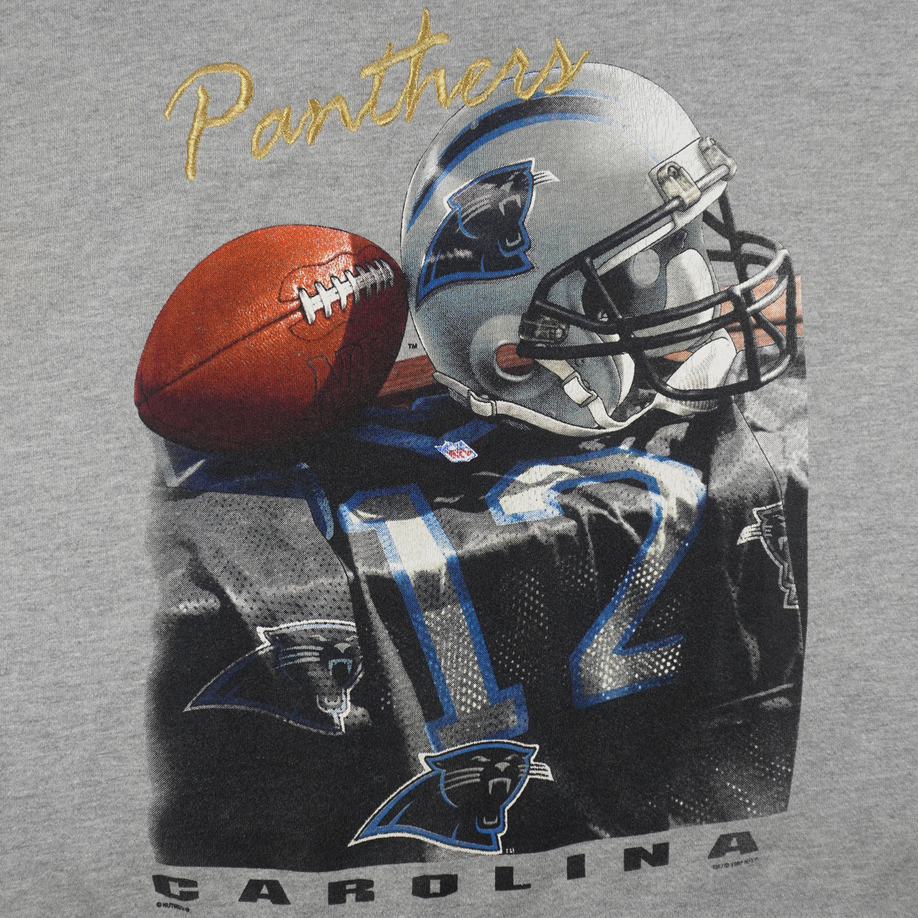 NFL (Lee) - Carolina Panthers Locker Room Crew Neck Sweatshirt 1998 Large Vintage Retro Football