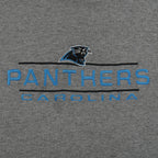 NFL (Logo Athletic) - Carolina Panthers Embroidered Crew Neck Sweatshirt 1990s Large Vintage Retro Football