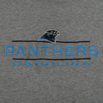 NFL (Logo Athletic) - Carolina Panthers Embroidered Crew Neck Sweatshirt 1990s Large Vintage Retro Football