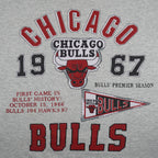 NBA (Miller) - Grey Chicago Bulls Basketball Court T-Shirt 1990s X-Large Vintage Retro Basketball