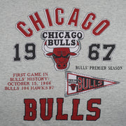 NBA (Miller) - Grey Chicago Bulls Basketball Court T-Shirt 1990s X-Large Vintage Retro Basketball