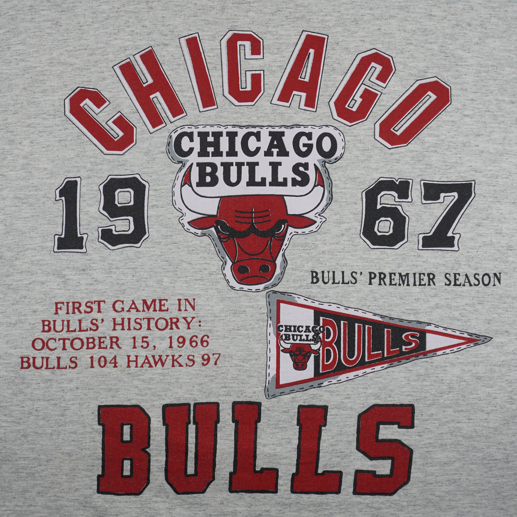 NBA (Miller) - Grey Chicago Bulls Basketball Court T-Shirt 1990s X-Large Vintage Retro Basketball