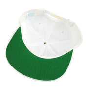 NFL (The Game) - Carolina Panthers Embroidered Snapback Hat 1990s Vintage Retro Football