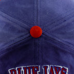 Starter (The Right Hat) - Toronto Blue Jays Snapback Hat 1990s OSFA Vintage Retro Baseball