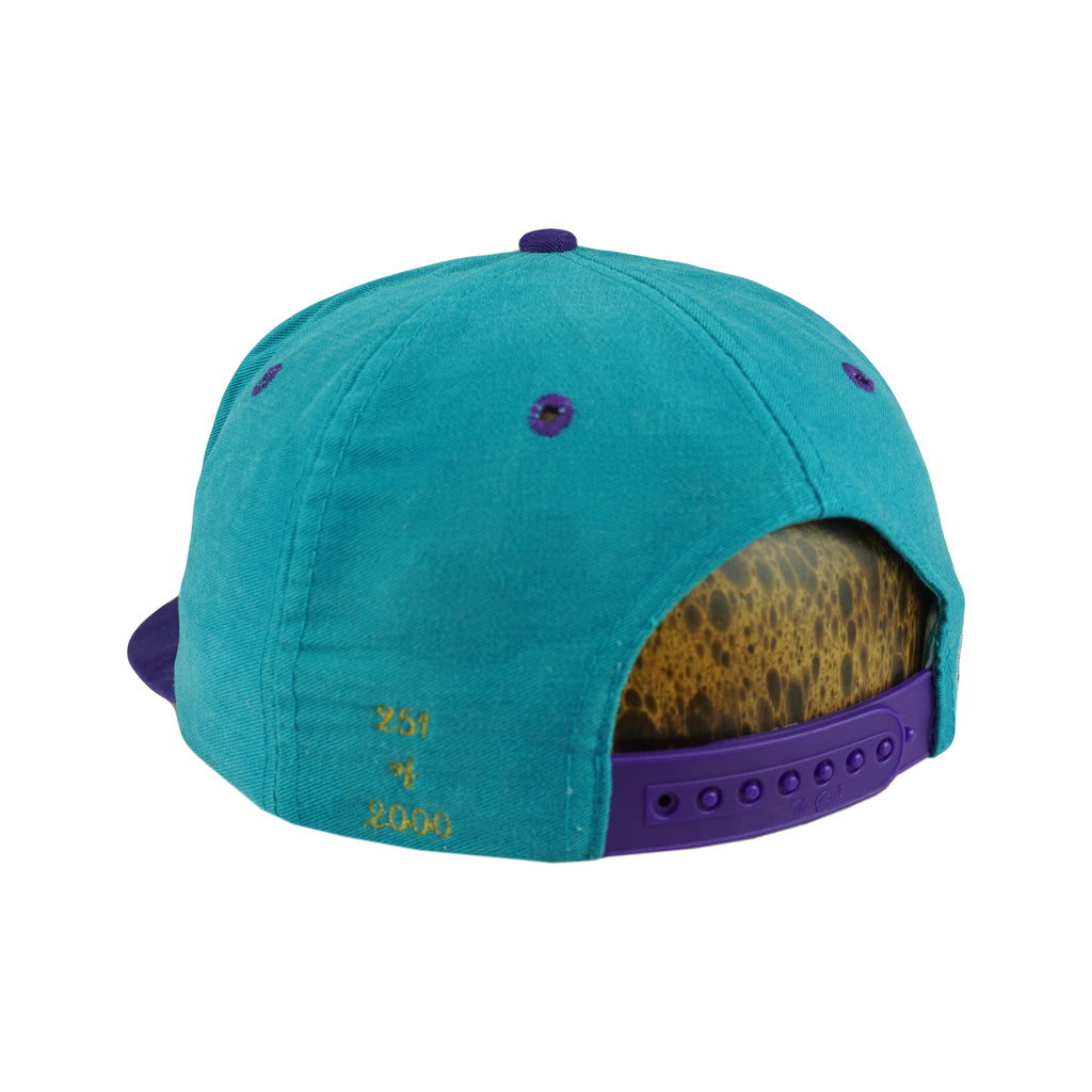 NBA (The Game) - Charlotte Hornets Embroidered Snapback Hat 1990s OSFA Vintage Retro Basketball