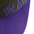 Starter - Toronto Raptors Basketball Snapback Hat 1994 OSFA Vintage Retro Basketball