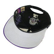 Starter - Toronto Raptors Basketball Snapback Hat 1994 OSFA Vintage Retro Basketball
