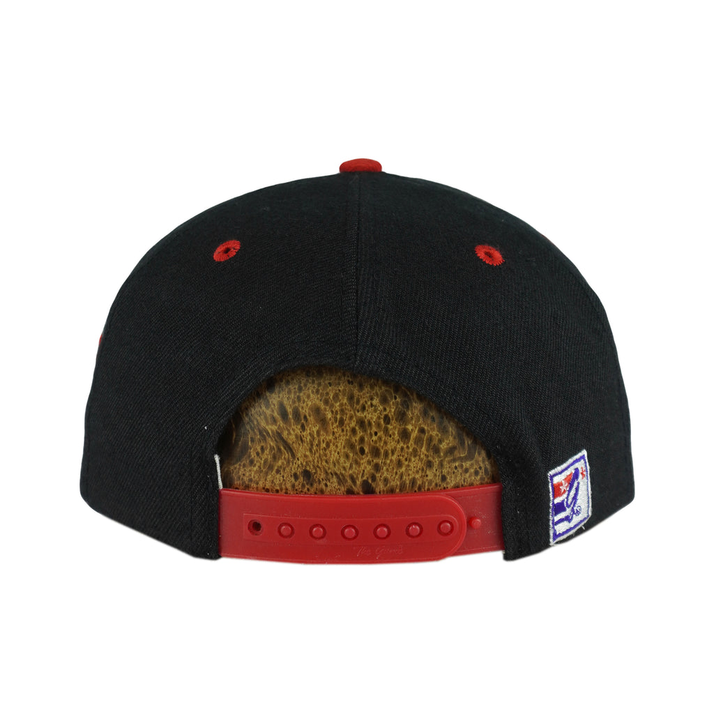 IHL (The Game) - Detroit Vipers Spell-Out Snapback Hat 1990s OSFA Vintage Retro Hockey