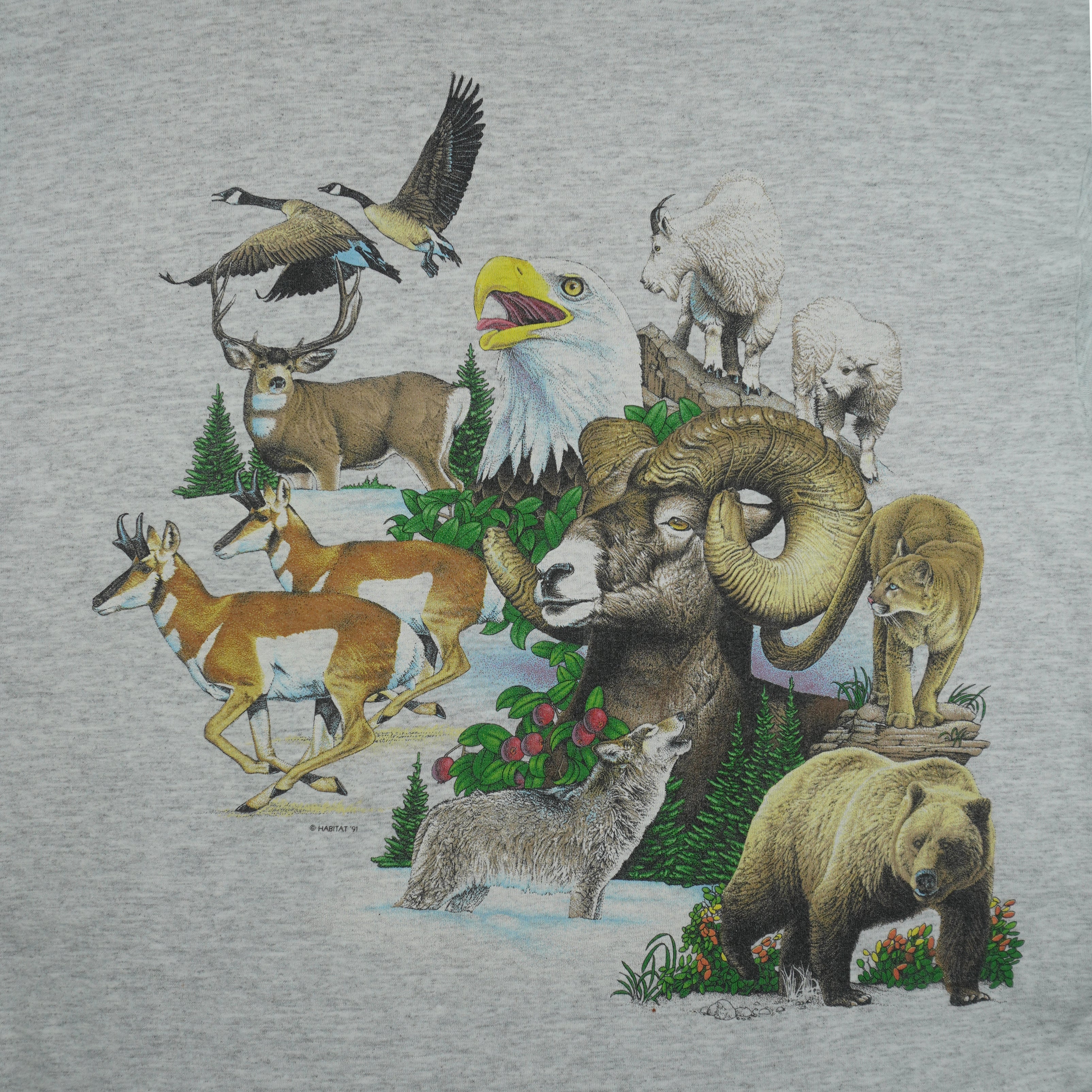 Vintage (Signal Sports) - Bear Country U.S.A Animals Roll Up Sleeves T-Shirt 1991 Large Vintage Retro