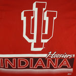 NCAA (Salem) - Red Indiana Hoosiers Single Stitch T-Shirt 1990s X-Large Vintage Retro
