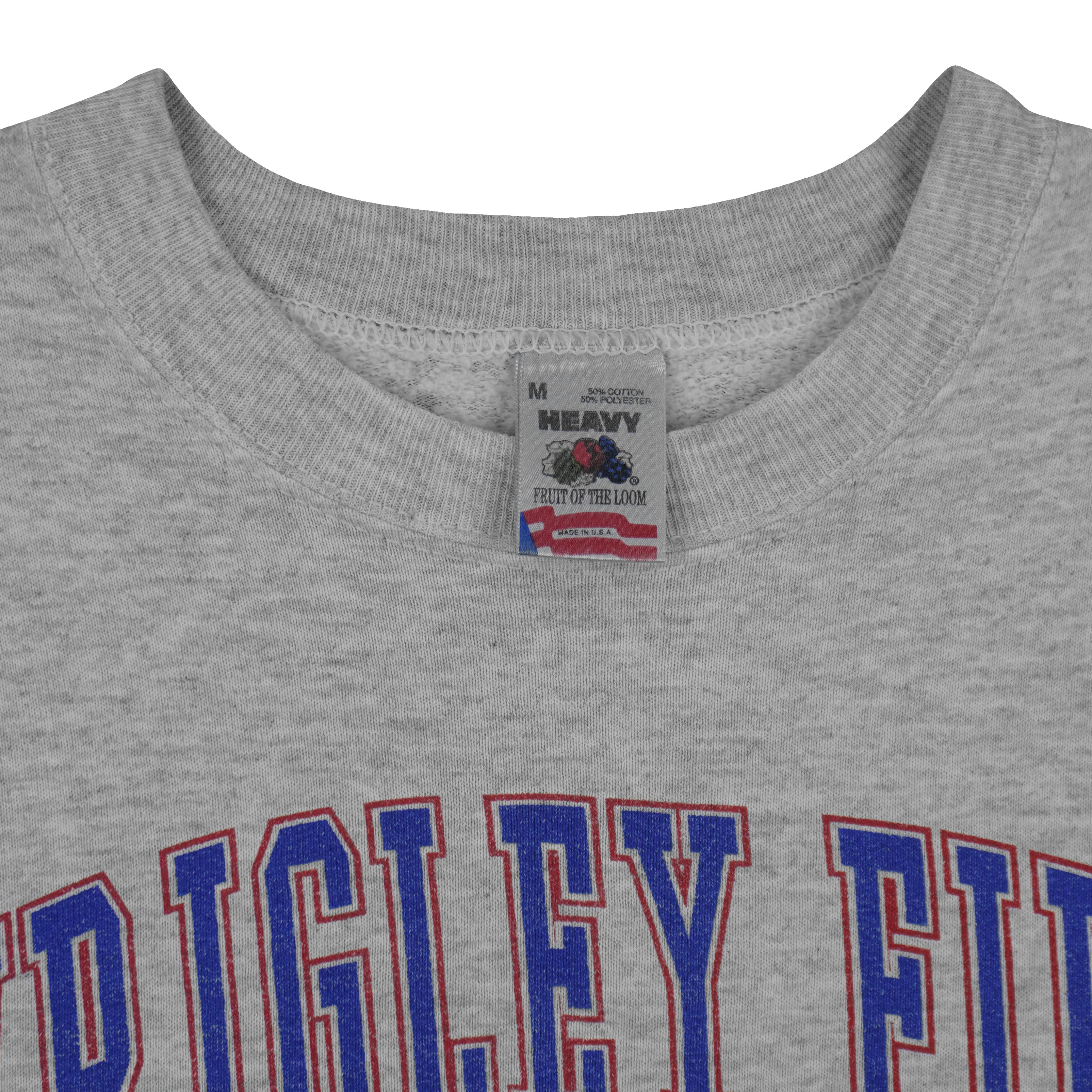 MLB - Chicago Cubs, Wrigley Field Crew Neck Sweatshirt 1992 Medium Vintage Retro Baseball
