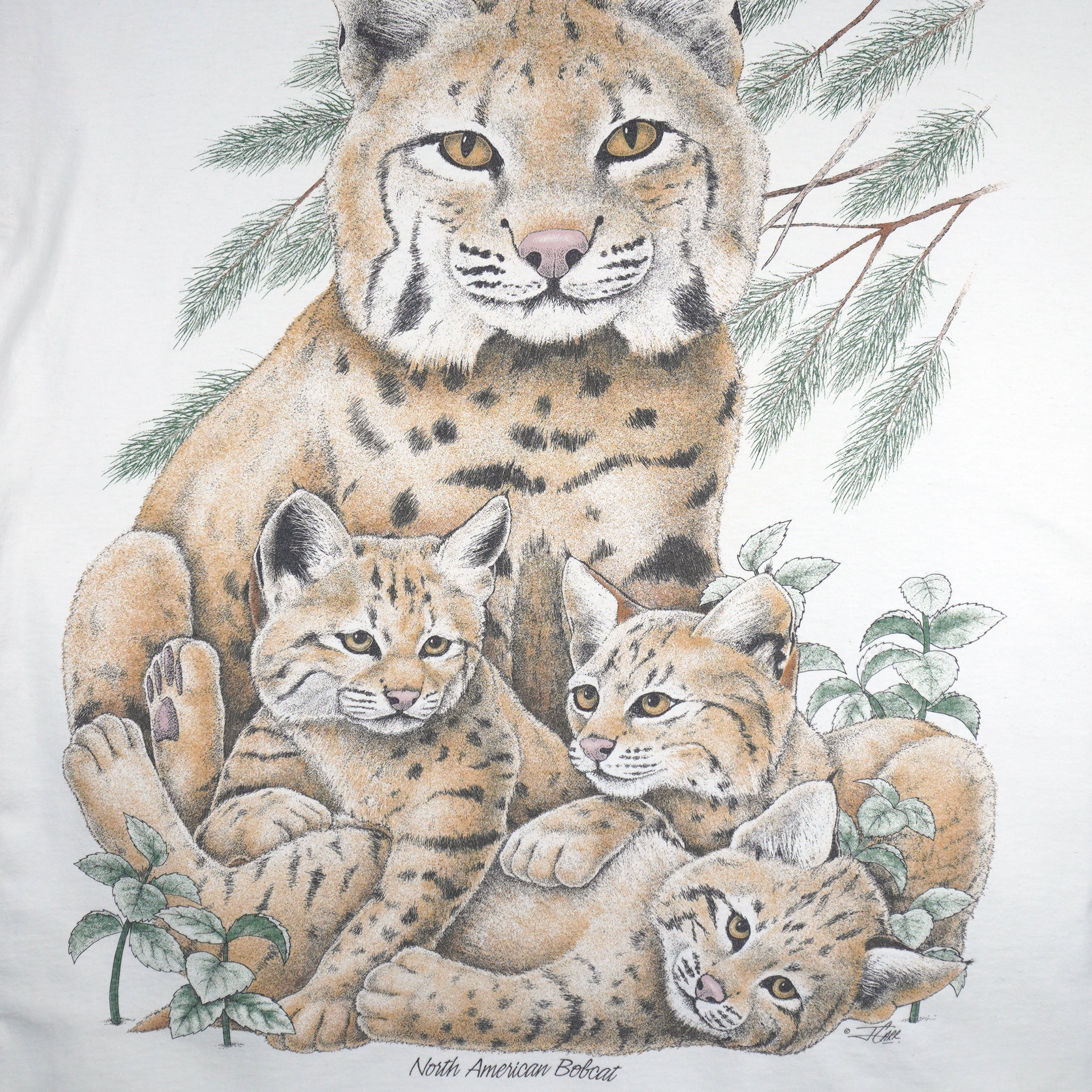 Vintage (Kittens) - North American Bobcats Animal Print T-Shirt 1990s X-Large Vintage Retro