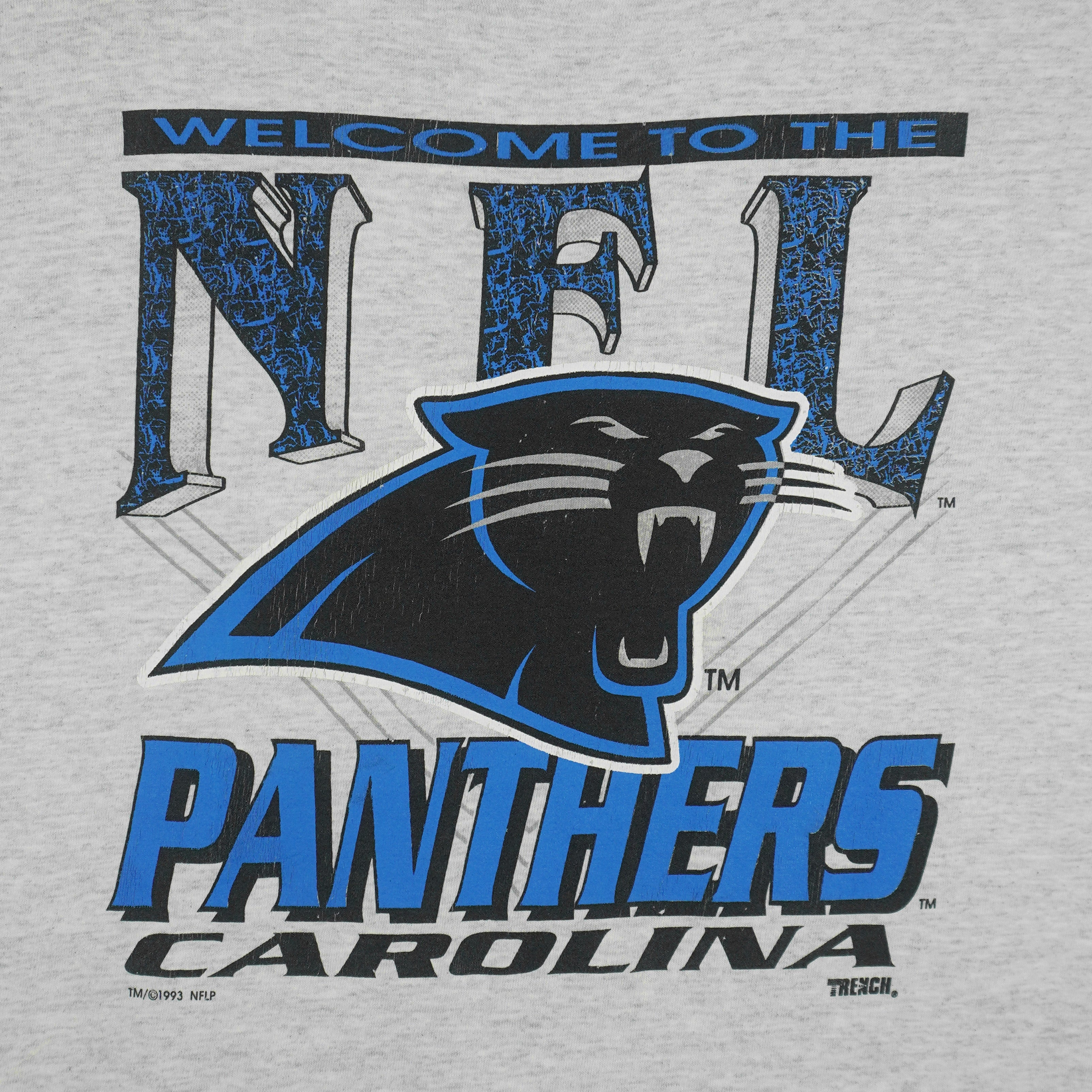 NFL (Fruit Of The Loom) - Carolina Panthers Single Stitch T-Shirt 1993 Large Vintage Retro Football