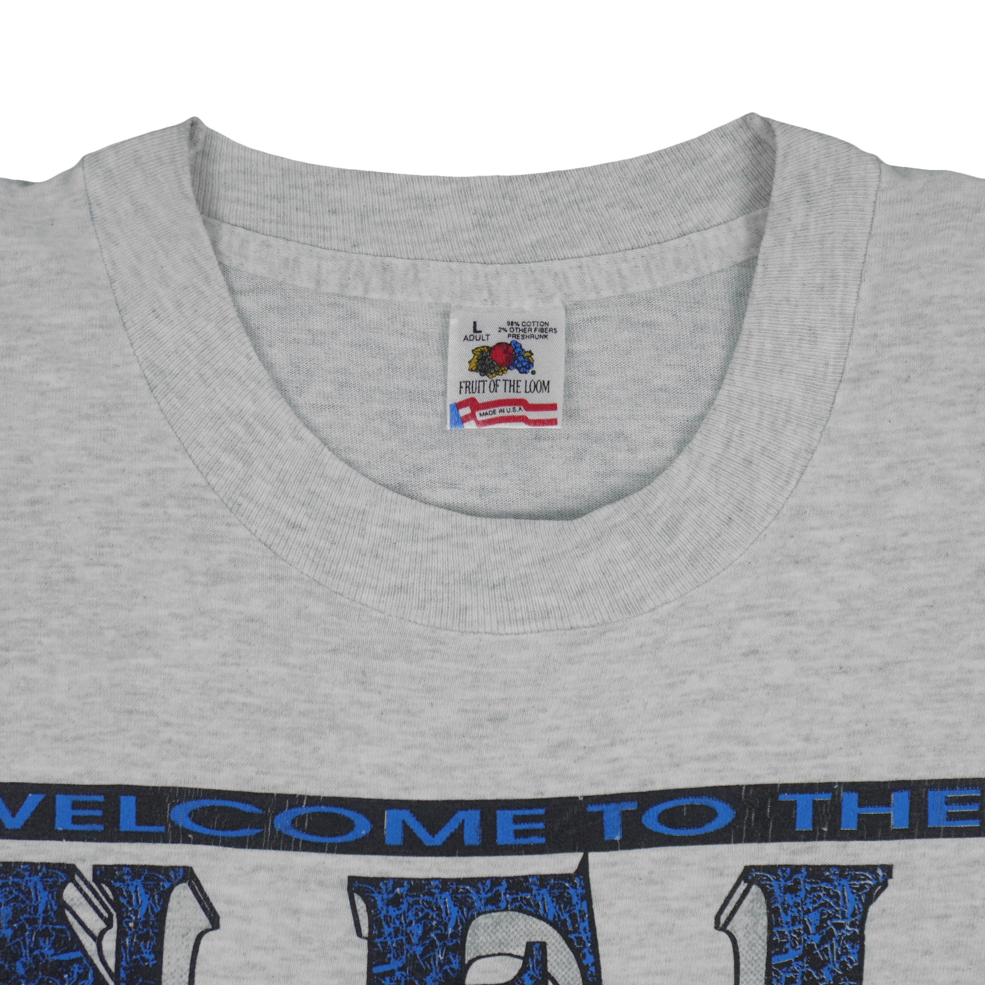 NFL (Fruit Of The Loom) - Carolina Panthers Single Stitch T-Shirt 1993 Large Vintage Retro Football