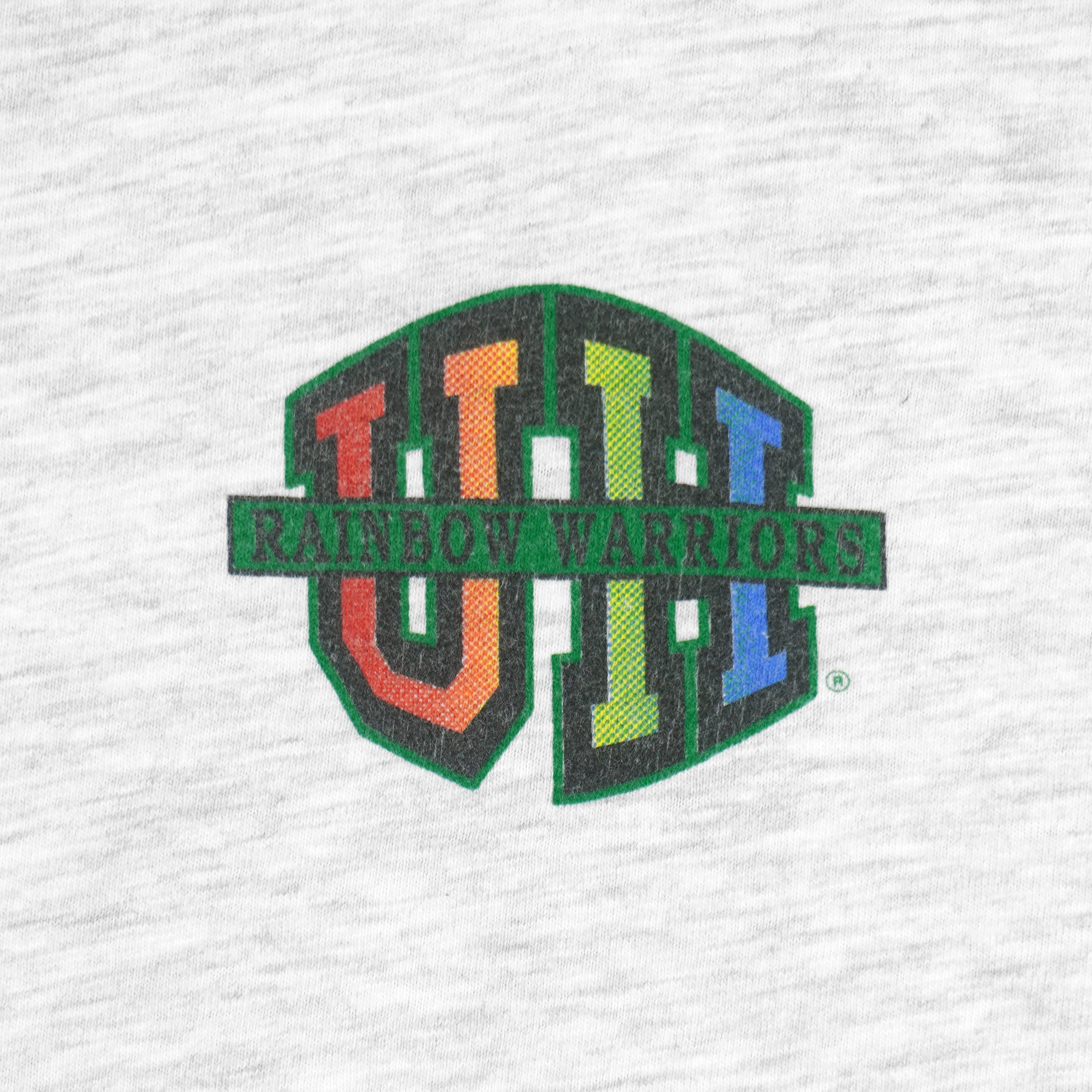 NCAA (Hanes) - University of Hawaii Rainbow Warriors T-Shirt 1990s Large Vintage Retro