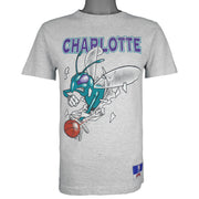NBA (Nutmeg) - Grey Charlotte Hornets Breakout T-Shirt 1990s Large Vintage Retro Basketball