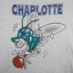 NBA (Nutmeg) - Grey Charlotte Hornets Breakout T-Shirt 1990s Large Vintage Retro Basketball
