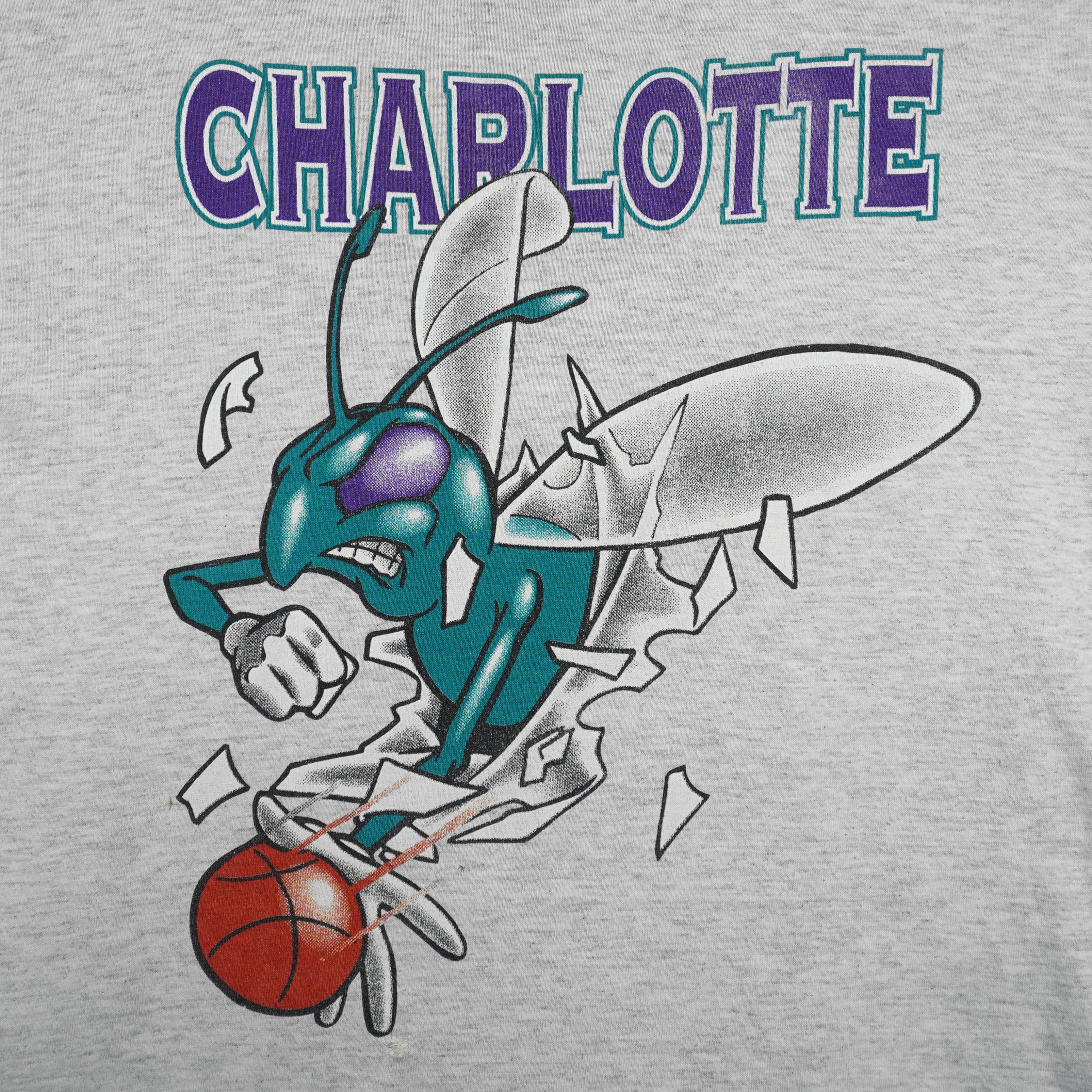 NBA (Nutmeg) - Grey Charlotte Hornets Breakout T-Shirt 1990s Large Vintage Retro Basketball