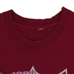 NHL (Pro Player) - Colorado Avalanche Stanley Cup Champs T-Shirt 1996 Large Vintage Retro Hockey