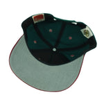 NHL (Twins) - Minnesota Wild Snapback Hat 1990s OSFA Vintage Retro Hockey