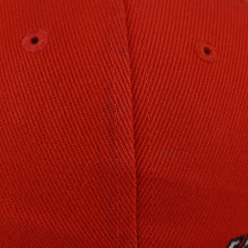 NHL (Twins) - Red Carolina Hurricanes Embroidered Snapback Hat 1990s OSFA Vintage Retro Hockey