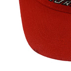 NHL (Twins) - Red Carolina Hurricanes Embroidered Snapback Hat 1990s OSFA Vintage Retro Hockey
