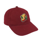 Vintage Starter (NBA) - Seattle SuperSonics Embroidered Strapback Hat 1990s OSFA