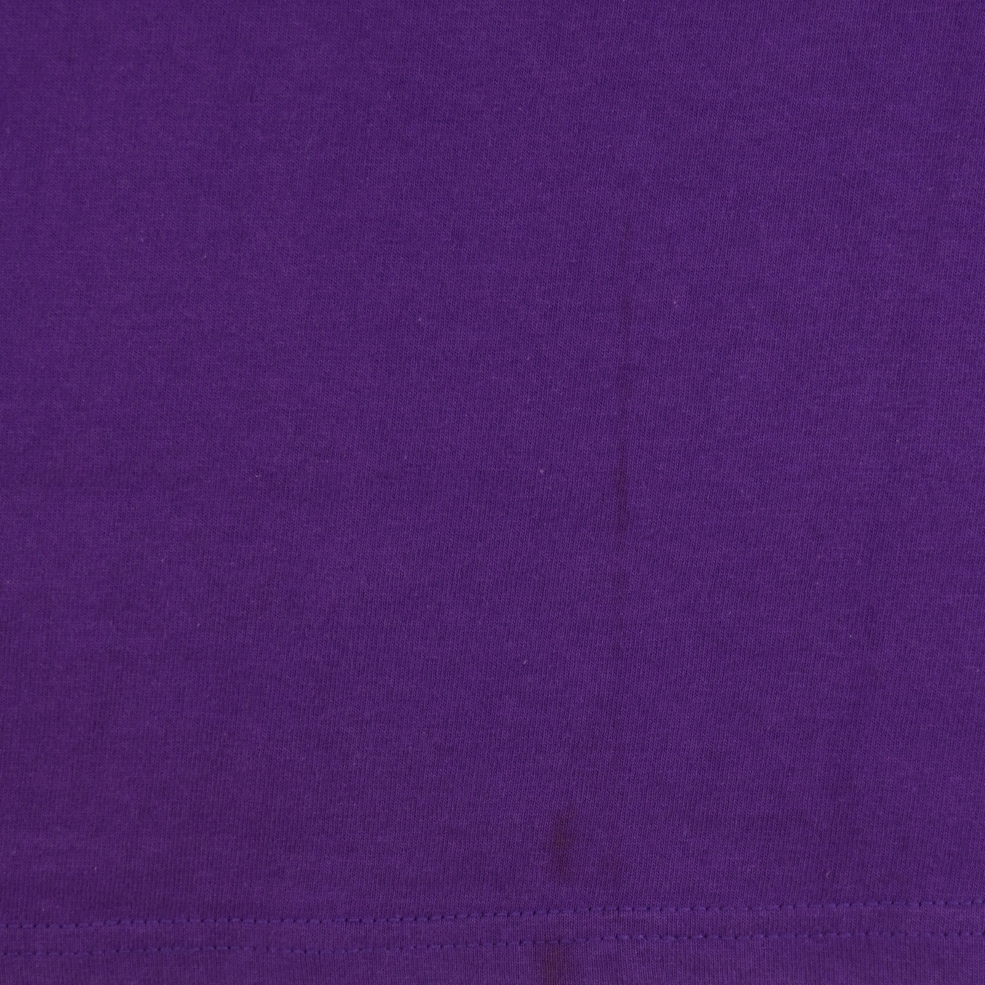 NFL (Logo Athletic) - Minnesota Vikings T-Shirt 1990s Large Vintage Retro Football
