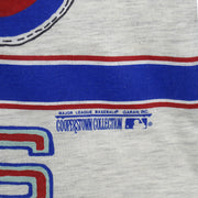 MLB (Long Gone) - Chicago Cubs World Champions T-Shirt 1990s Large Vintage Retro Baseball
