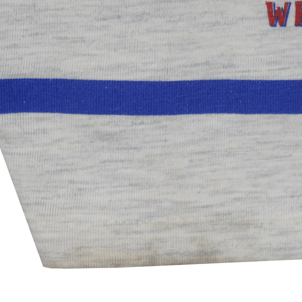 MLB (Long Gone) - Chicago Cubs World Champions T-Shirt 1990s Large Vintage Retro Baseball