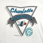 NBA (Nutmeg) - Charlotte Hornets Single Stitch T-Shirt 1988 Large Vintage Retro Basketball