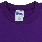 NFL (Pro Player) - Minnesota Vikings Embroidered Crew Neck Sweatshirt 1990s Large Vintage Retro Football