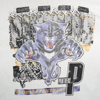 NHL - Florida Panthers Single Stitch T-Shirt 1993 Large Vintage Retro Hockey