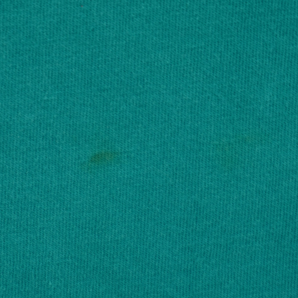 NBA (Nutmeg) - Charlotte Hornets T-Shirt 1990s Large Vintage Retro Basketball