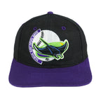 MLB (The Game) - Tampa Bay Devil Rays Embroidered Snapback Hat 1990s OSFA Vintage Retro Baseball