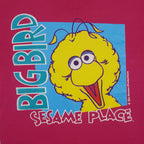 Vintage (Oneita) - Big Bird Sesame Place Single Stitch T-Shirt 1990s Medium Vintage Retro