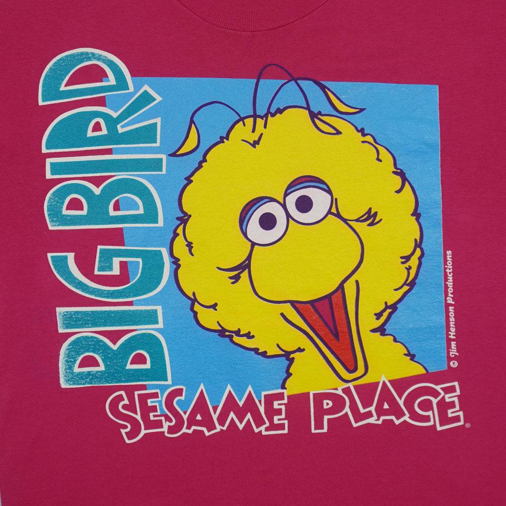 Vintage (Oneita) - Big Bird Sesame Place Single Stitch T-Shirt 1990s Medium Vintage Retro