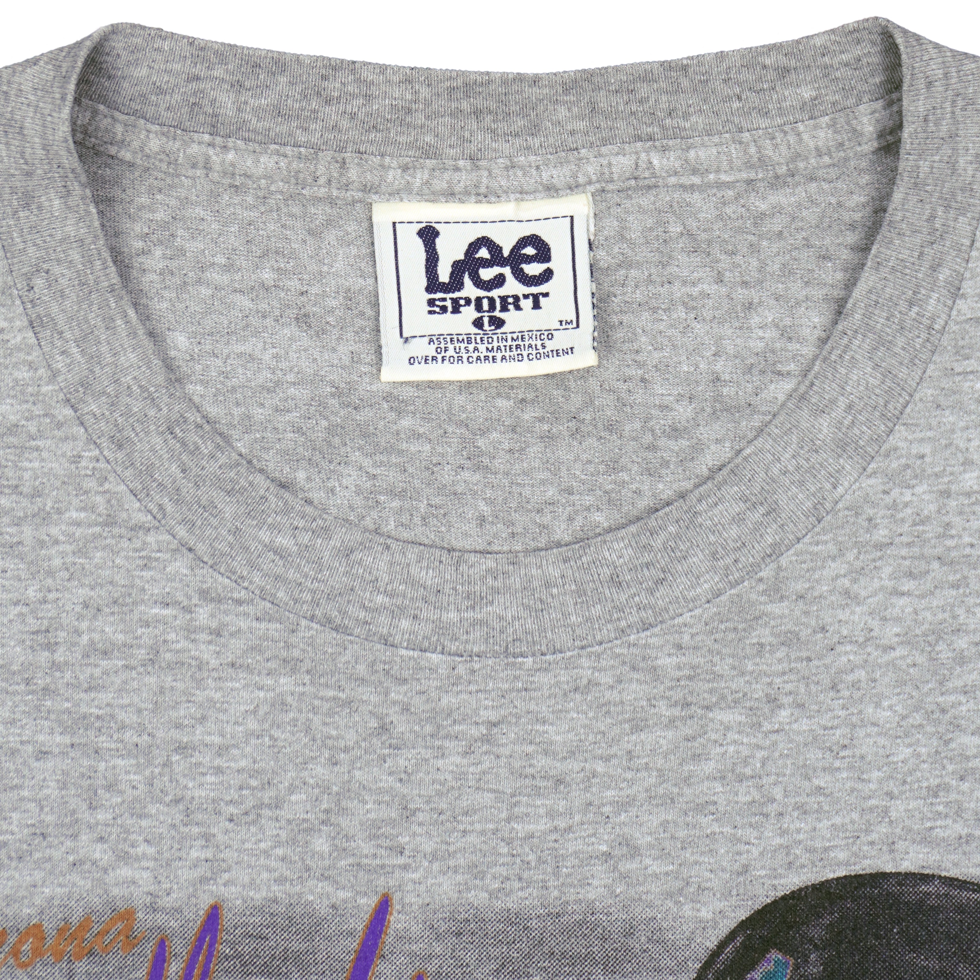 MLB (Lee) - Arizona Diamondbacks Locker Room T-Shirt 1990s Large Vintage Retro Baseball