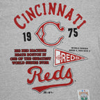 MLB (Team Rated) - Cincinnati Reds World Series T-Shirt 1996 Large Vintage Retro Baseball