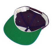 NHL (Annco) - Mighty Ducks Embroidered Snapback Hat 1990s OSFA Vintage Retro Hockey