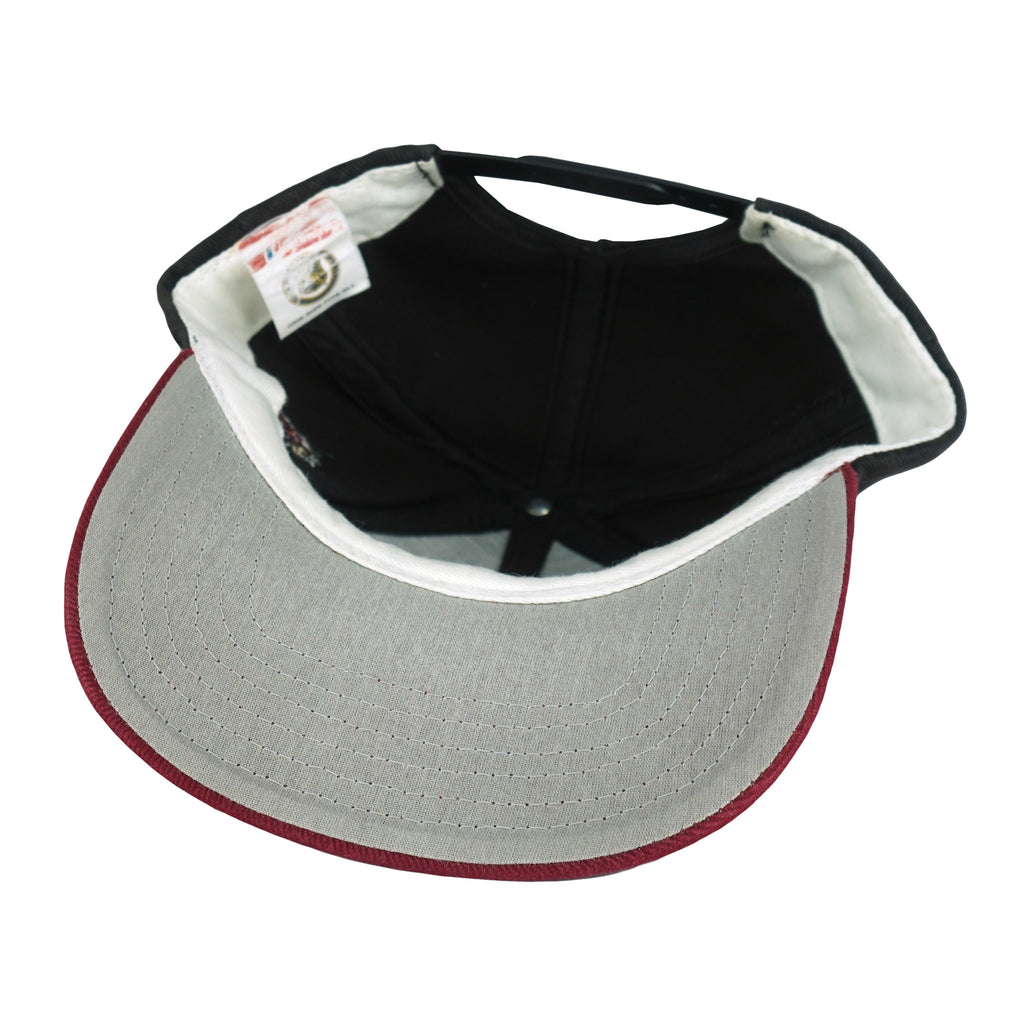 NHL (Twins) - Phoenix Coyotes Big Spell-Out Snapback Hat 1990s OSFA Vintage Retro Hockey