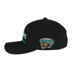 Champion (NBA) - Vancouver Grizzlies Snapback Hat 1990s OSFA