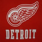 NHL (Pro Player) - Detroit Red Wings Big Logo T-Shirt 1990s Large Vintage Retro Hockey