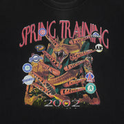 MLB (M&O) - Cactus League Spring Training T-Shirt 2002 Large Vintage Retro Baseball