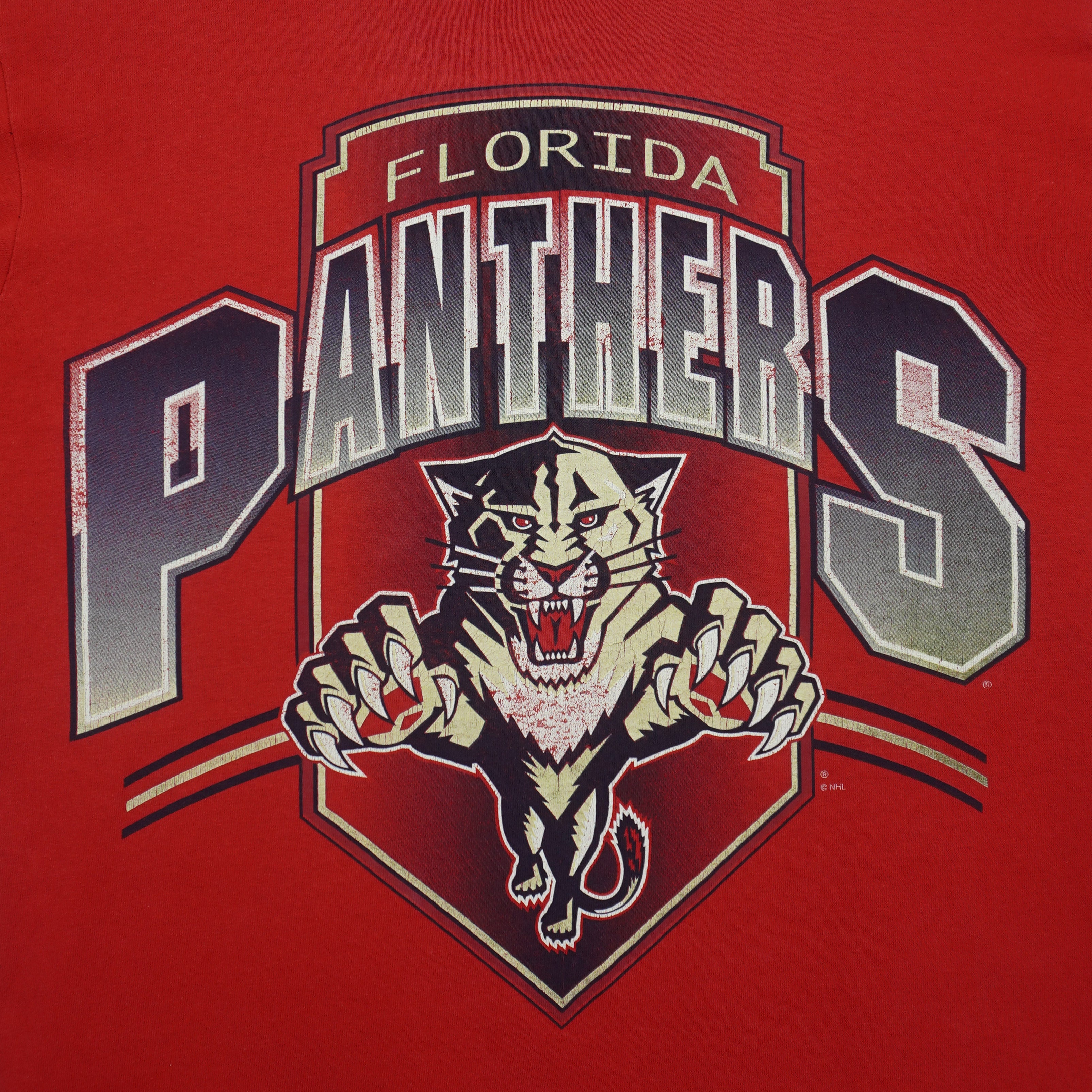 NHL (Hanes) - Florida Panthers Big Logo T-Shirt 1990s Medium Vintage Retro Hockey
