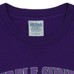 NFL (Gildan) - Baltimore Ravens Purple Sunday Festivus Maximus T-Shirt 2001 X-Large Vintage Retro Football