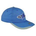 NFL (Sports Specialties) - Detroit Lions Embroidered Snapback Hat 1990s OSFA Vintage Retro Football